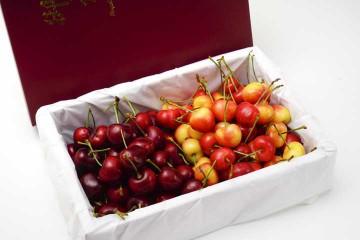 Placeholder image