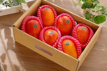 寶島級 產銷履歷愛文芒果禮盒2.5kg(7顆)