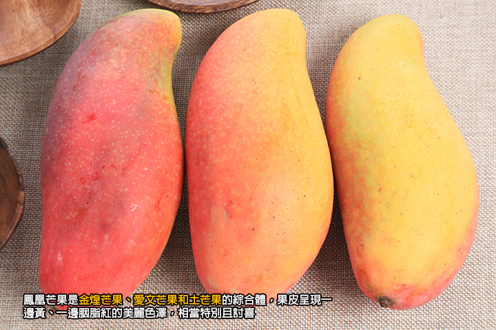 鳳凰芒果是金煌芒果、愛文芒果和土芒果的綜合體，果皮呈現一邊黃、一邊胭脂紅的美麗色澤，相當特別且討喜
